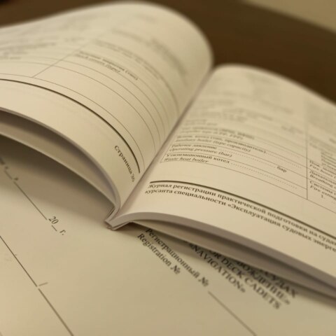 Image Not Found On Media Library