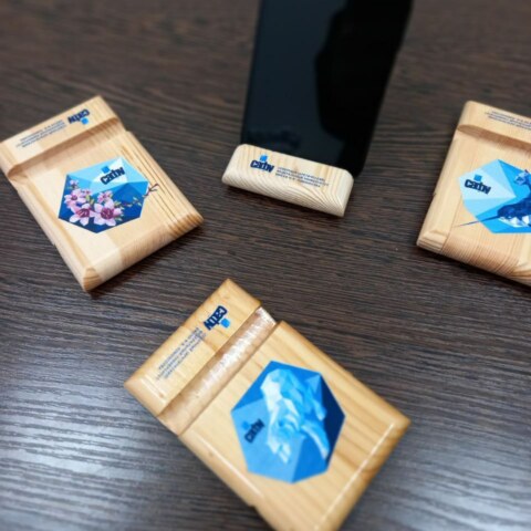 Image Not Found On Media Library