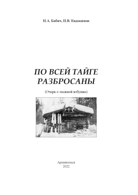 Image Not Found On Media Library
