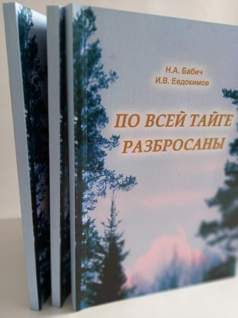 Image Not Found On Media Library