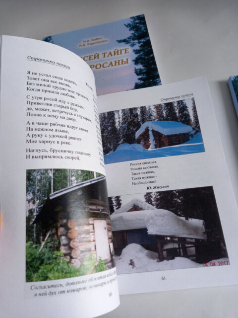 Image Not Found On Media Library