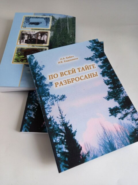 Image Not Found On Media Library