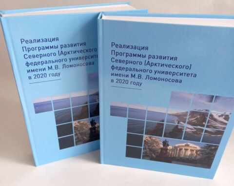 Image Not Found On Media Library