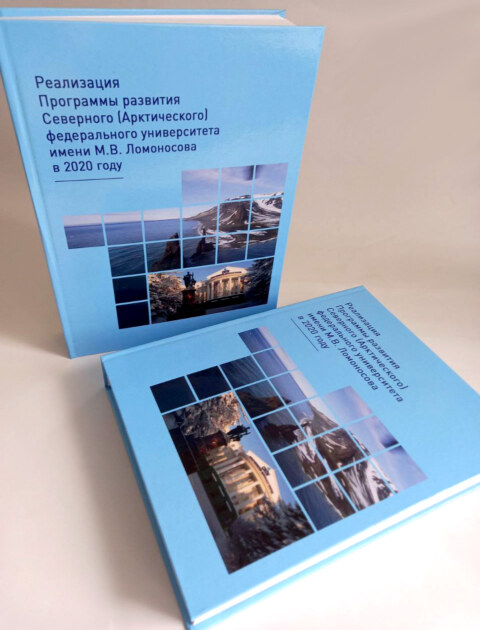 Image Not Found On Media Library