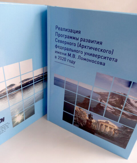 Image Not Found On Media Library