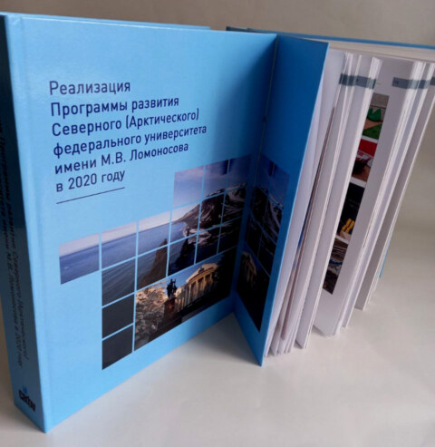 Image Not Found On Media Library