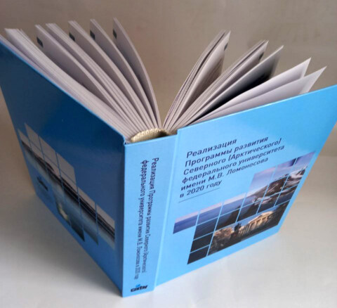 Image Not Found On Media Library