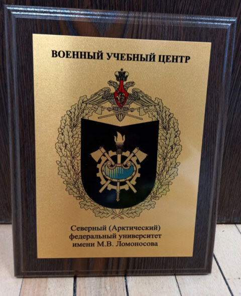 Image Not Found On Media Library