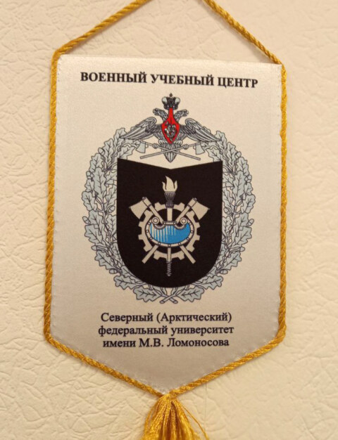 Image Not Found On Media Library