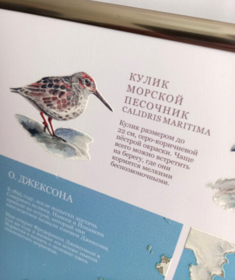 Image Not Found On Media Library