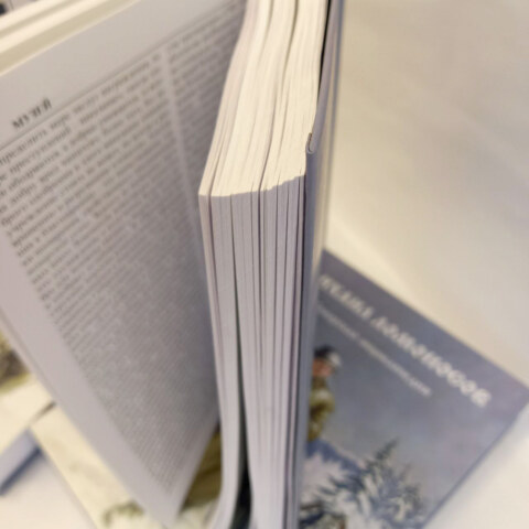 Image Not Found On Media Library