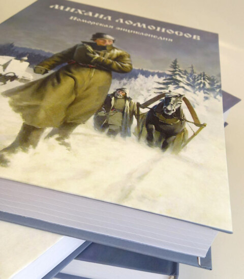 Image Not Found On Media Library