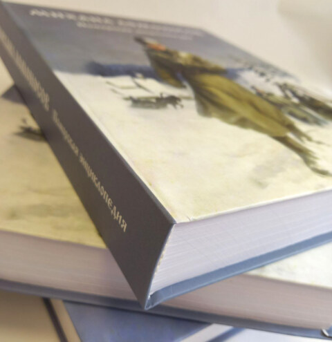 Image Not Found On Media Library