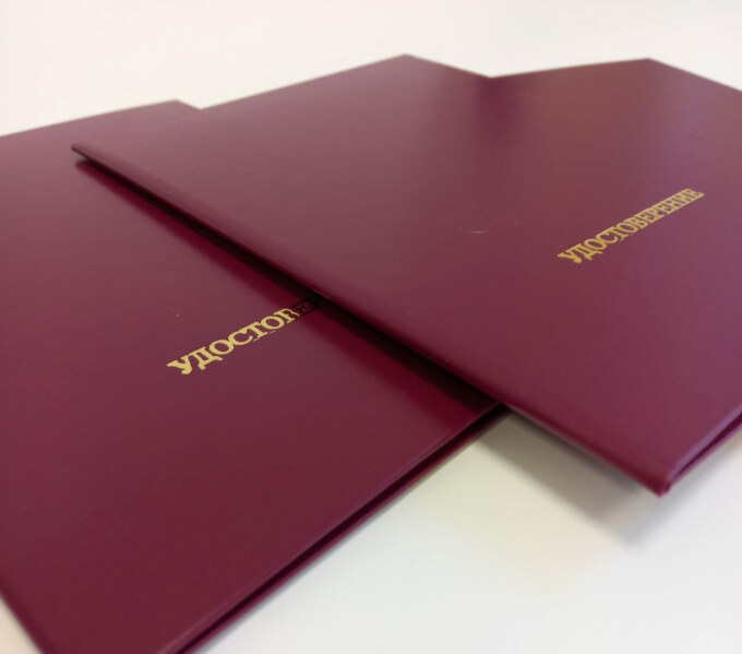 photo_5321188017450369436_y