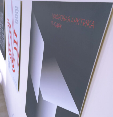 Image Not Found On Media Library