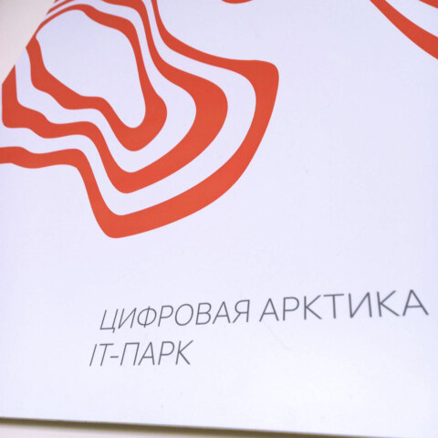 Image Not Found On Media Library