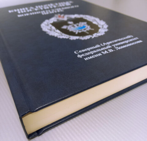 Image Not Found On Media Library