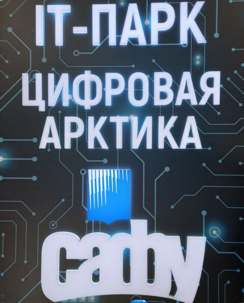Image Not Found On Media Library