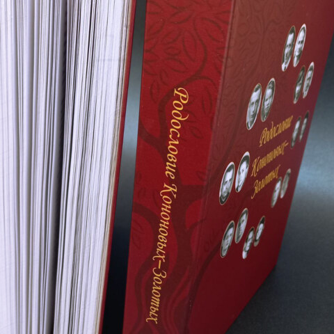 Image Not Found On Media Library