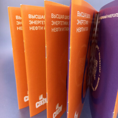 Image Not Found On Media Library