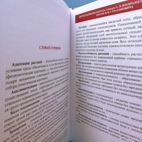 Image Not Found On Media Library