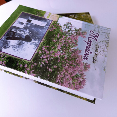Image Not Found On Media Library