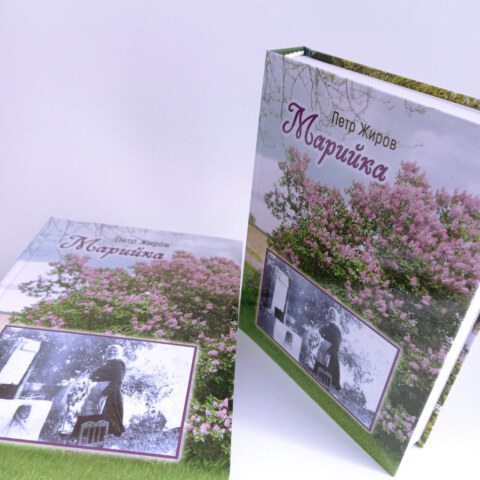 Image Not Found On Media Library