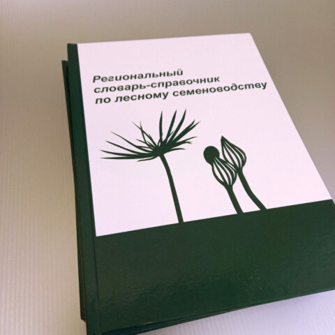 Image Not Found On Media Library