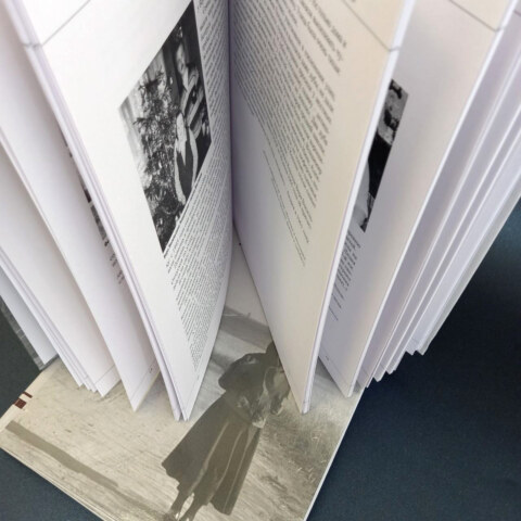 Image Not Found On Media Library