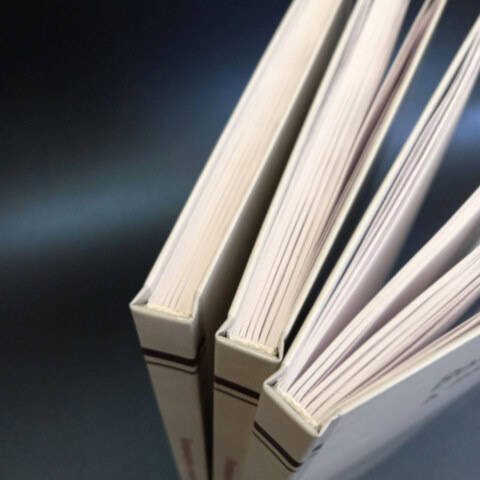 Image Not Found On Media Library