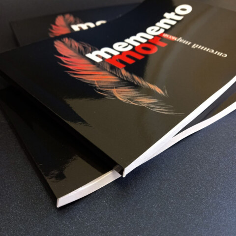 Image Not Found On Media Library